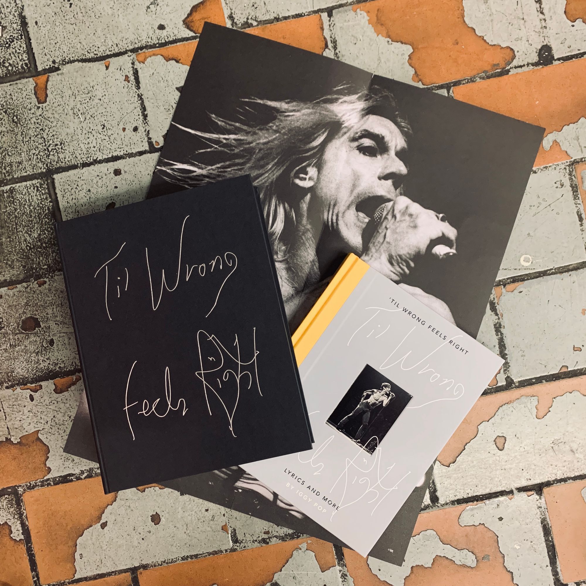 Iggy Pop Til Wrong Feels Right Uk Exclusive Deluxe Collector S Edition