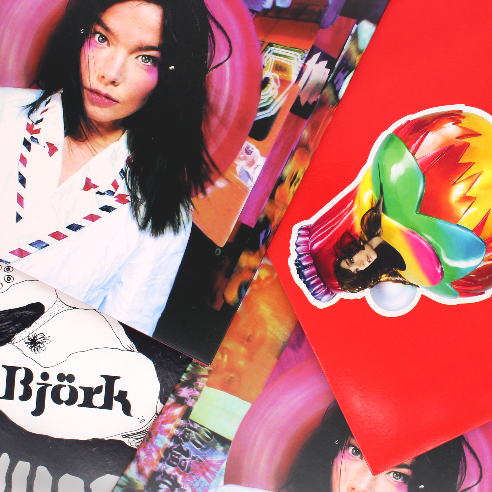 Bjork/ビョーク/Vulnicura 2015/ポスター | www.esn-ub.org